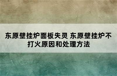 东原壁挂炉面板失灵 东原壁挂炉不打火原因和处理方法